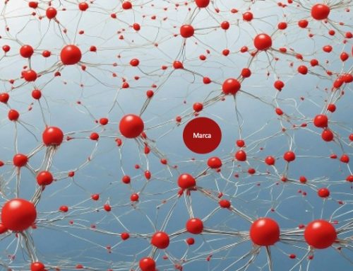 La clave de una transformación empresarial exitosa